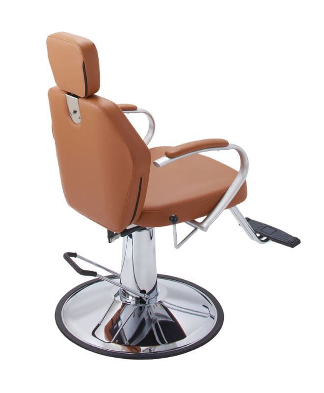spch_cb846_camel_back.jpg